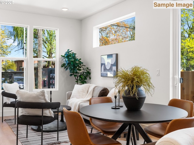 dining area featuring wood finished floors