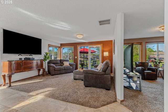 7215 NE Par Ln, Vancouver, WA 98662 - living room featuring a textured ceiling and carpet floors