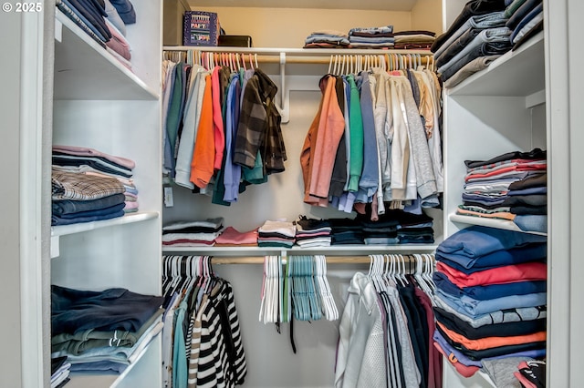 view of walk in closet