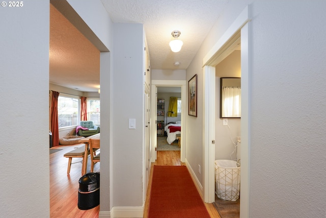 hallway featuring hardwood / wood-style flooring and a textured ceiling