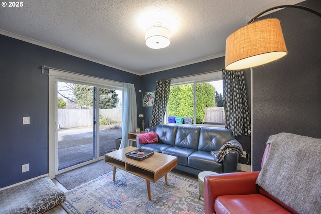 living room with ornamental molding, plenty of natural light, and a textured ceiling