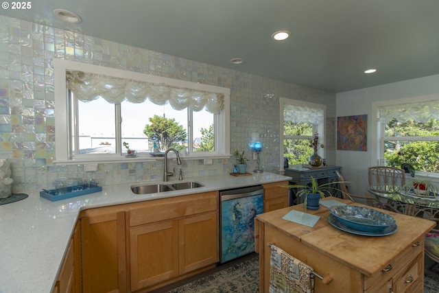 kitchen with a sink, dishwasher, and a healthy amount of sunlight