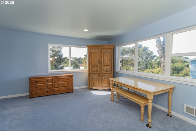 office with plenty of natural light, carpet, visible vents, and baseboards