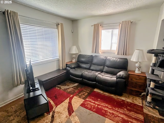 living room featuring a textured ceiling