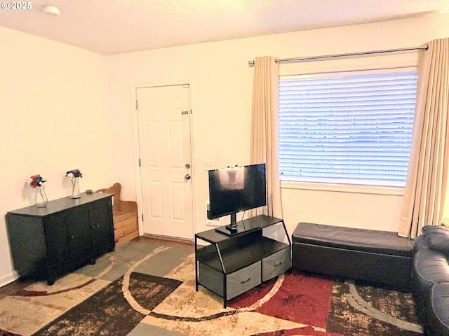 living room with carpet