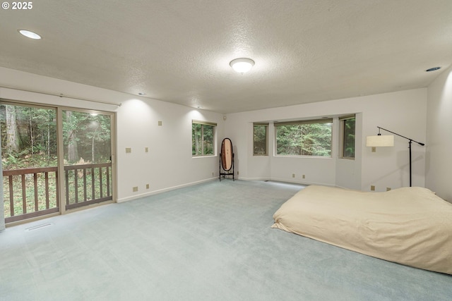 carpeted bedroom with multiple windows, access to exterior, and a textured ceiling