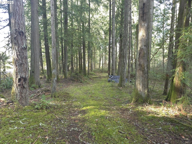 view of landscape