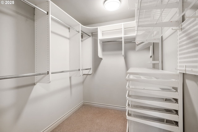 walk in closet with light colored carpet