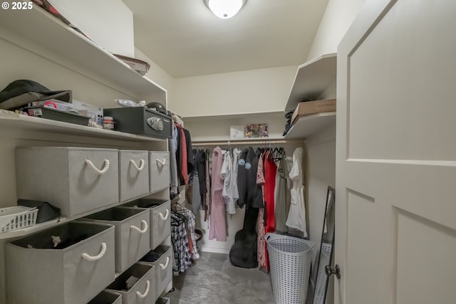 view of spacious closet