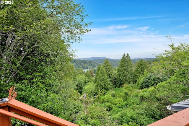 6027 View Loop, Florence, OR 97439 - mountain view with a heavily wooded area