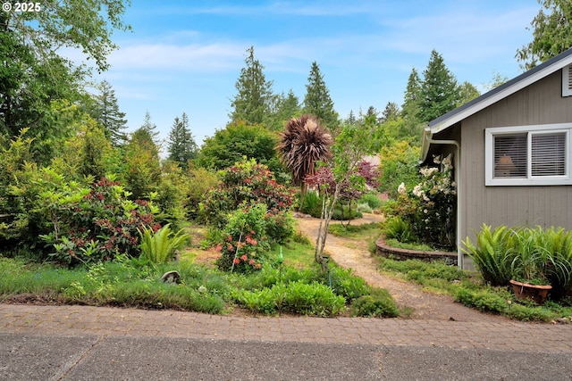 6027 View Loop, Florence, OR 97439 - view of yard