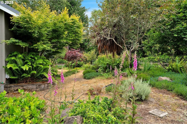 6027 View Loop, Florence, OR 97439 - view of yard