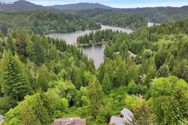 6027 View Loop, Florence, OR 97439 - bird's eye view of a heavily wooded area and a water and mountain view