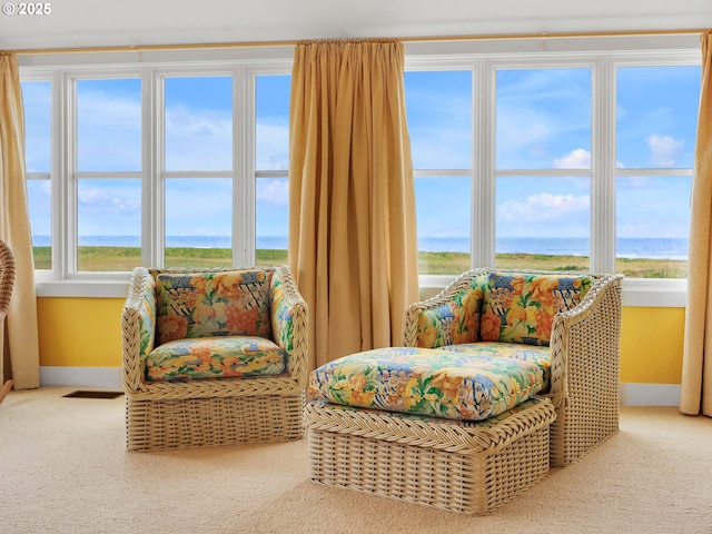 766 Neacoxie Blvd, Gearhart, OR 97138 - living area featuring baseboards, carpet, and a water view