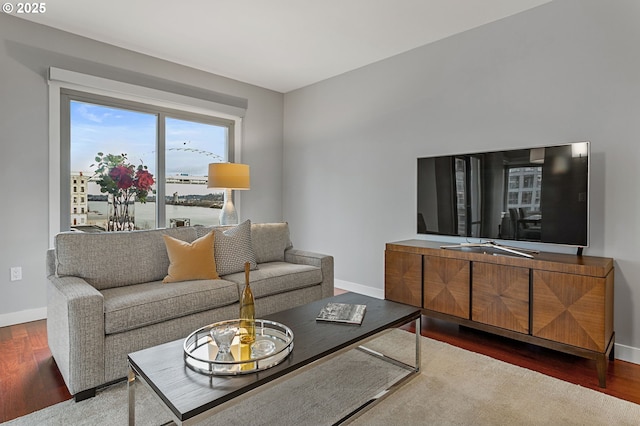 living room with wood-type flooring