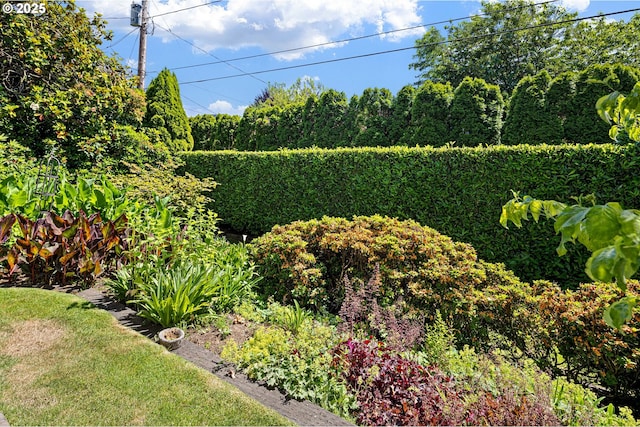 2160 Oakmont Way, Eugene, OR 97401 - view of yard