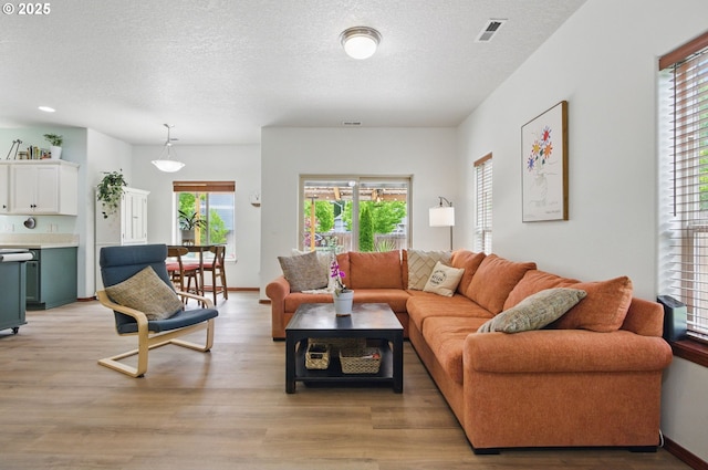 1146 SE Millright Ave, Mcminnville, OR 97128 - living room with light wood finished floors and a textured ceiling