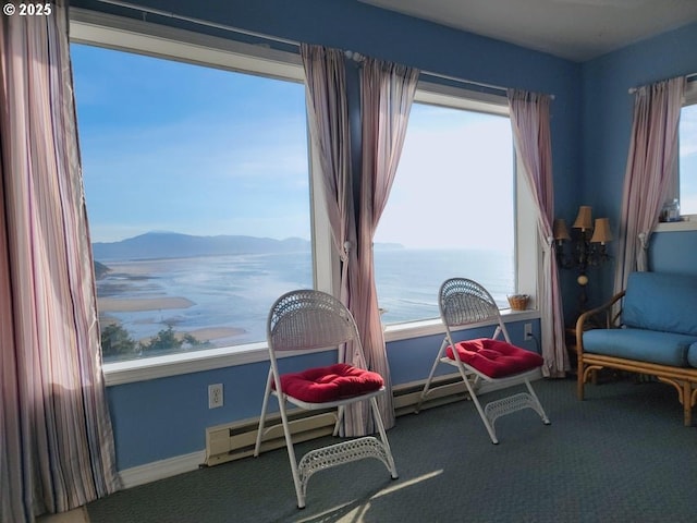 living area featuring a baseboard radiator, plenty of natural light, carpet floors, and a water and mountain view