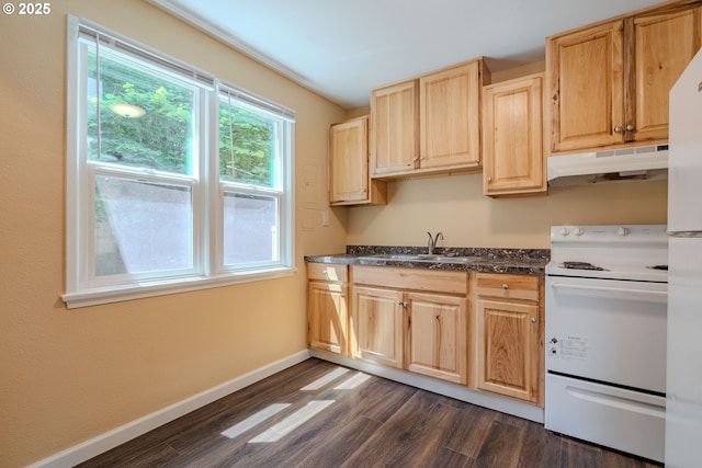 3211 E 17th St, Vancouver, WA 98661 - kitchen featuring white appliances, under cabinet range hood, dark countertops, dark wood-style flooring, and light brown cabinets