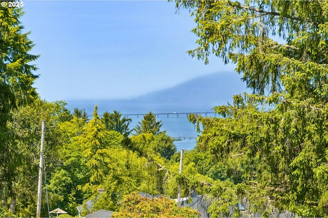 35111 Jefferson Ln, Astoria, OR 97103 - water view