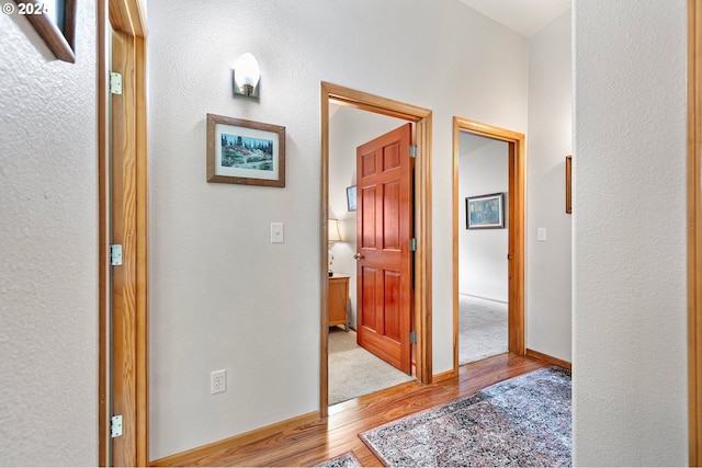 20 Wild Winds St, Florence, OR 97439 - hallway with wood finished floors and baseboards
