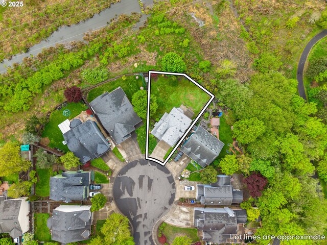 bird's eye view