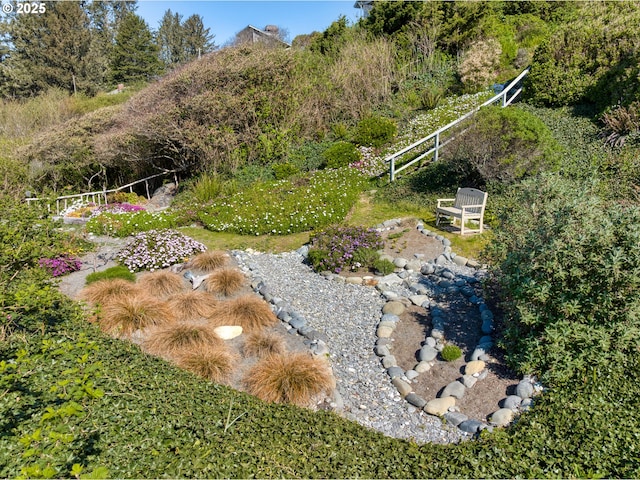 15436 Oceanview Dr, Brookings, OR 97415 - view of yard