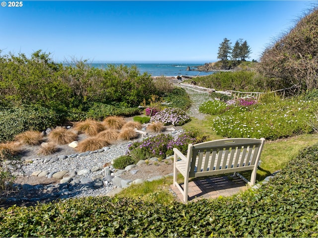 15436 Oceanview Dr, Brookings, OR 97415 - surrounding community with a water view