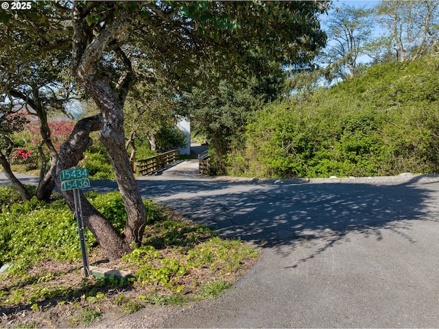 15436 Oceanview Dr, Brookings, OR 97415 - view of road