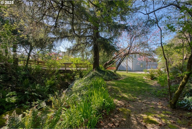 15436 Oceanview Dr, Brookings, OR 97415 - view of yard