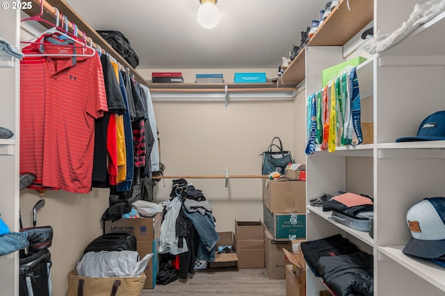 walk in closet with hardwood / wood-style floors