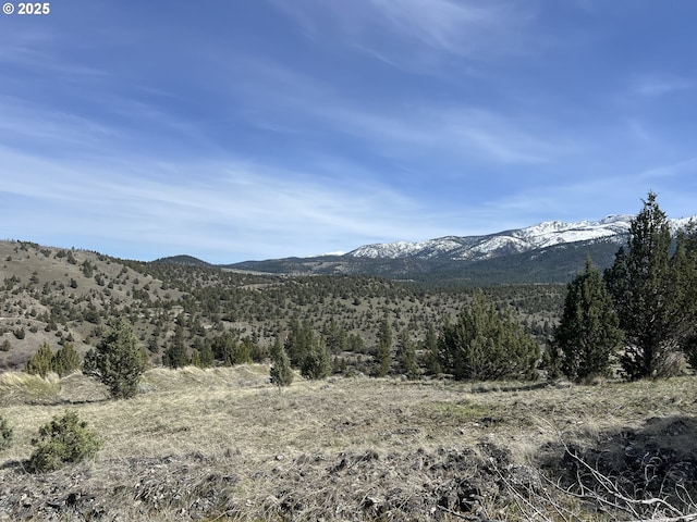 0 Blue Gulch Rd, John Day, OR 97845