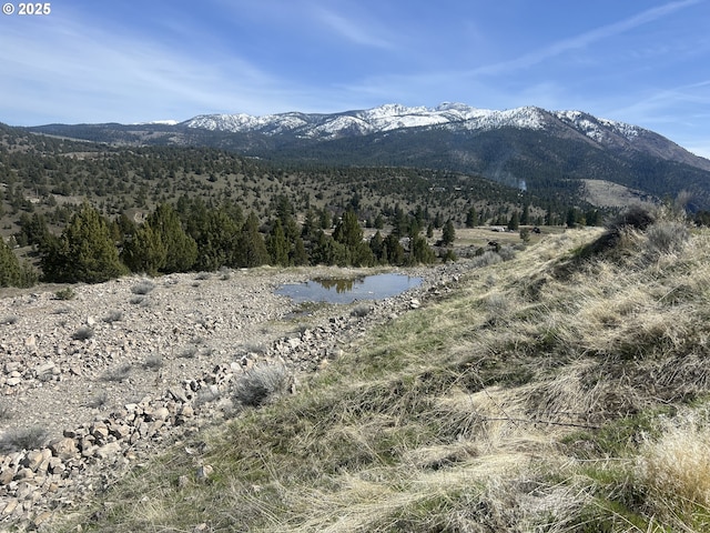 0 Blue Gulch Rd, John Day, OR 97845