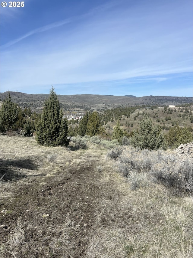 0 Blue Gulch Rd, John Day, OR 97845