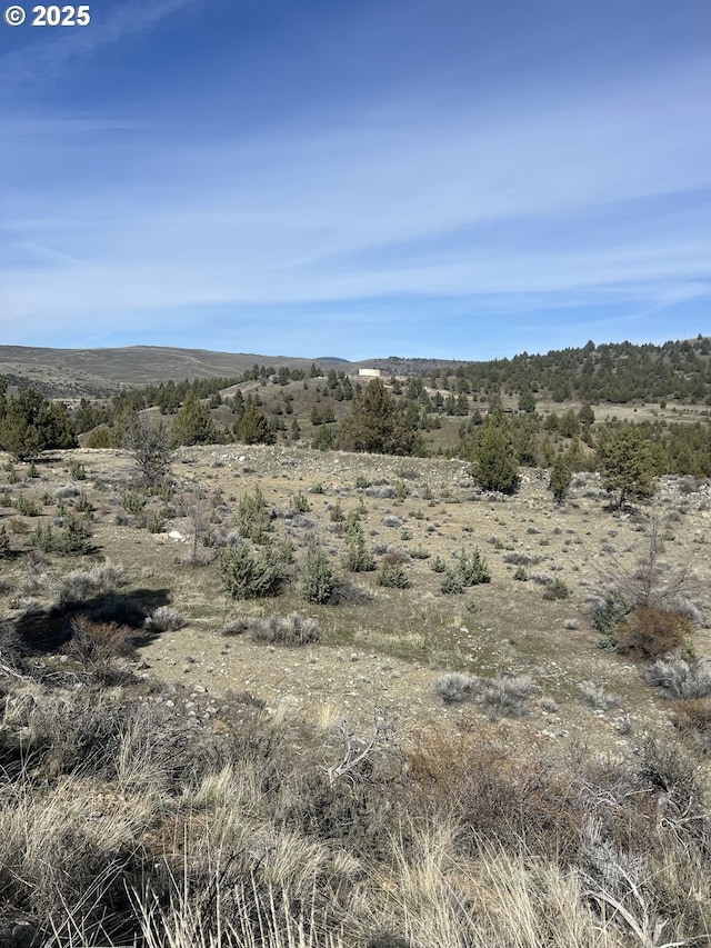 0 Blue Gulch Rd, John Day, OR 97845