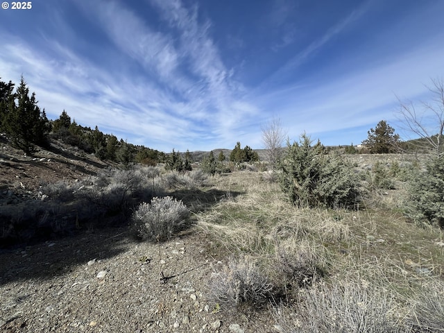 0 Blue Gulch Rd, John Day, OR 97845