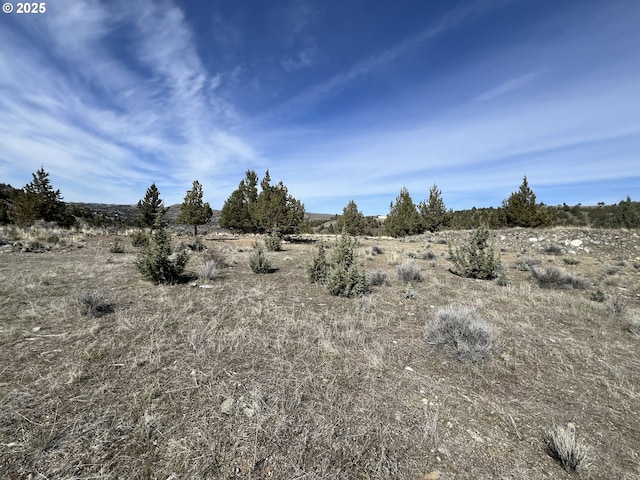 0 Blue Gulch Rd, John Day, OR 97845