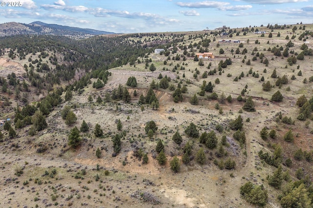 0 Blue Gulch Rd, John Day, OR 97845