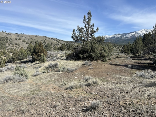 0 Blue Gulch Rd, John Day, OR 97845