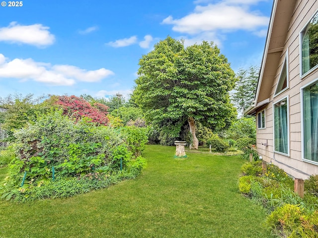 55 Irving St, Cathlamet, WA 98612 - view of green lawn