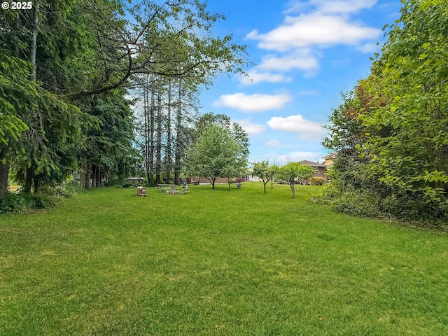 55 Irving St, Cathlamet, WA 98612 - view of green lawn