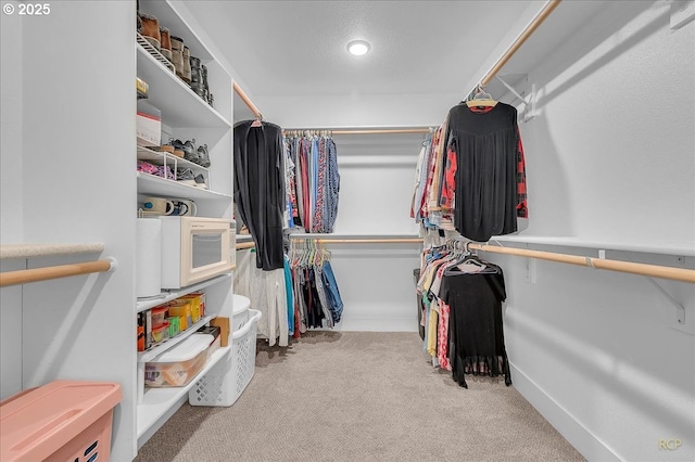 spacious closet with carpet floors