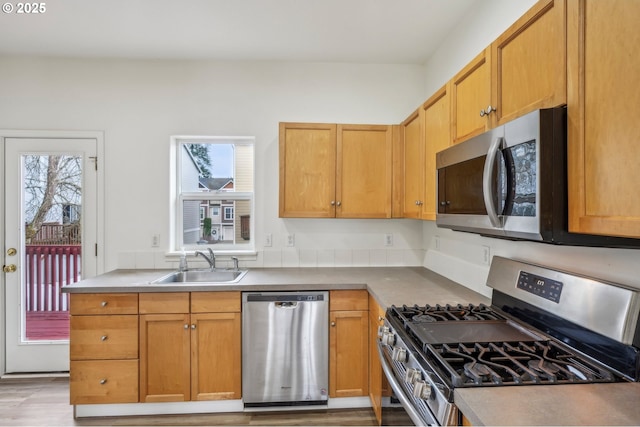 kitchen with appliances with stainless steel finishes, plenty of natural light, a sink, and light wood-style floors