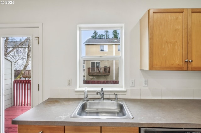 kitchen featuring a sink and dishwashing machine