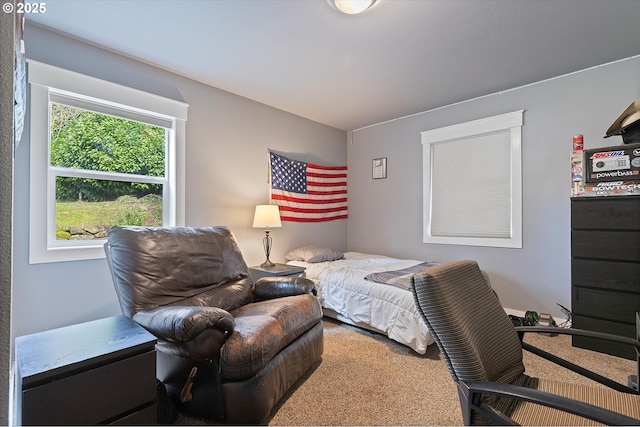 bedroom with carpet