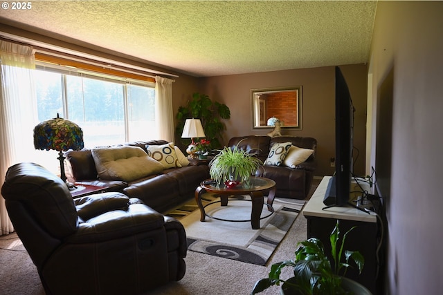 7811 NE 78th St, Vancouver, WA 98662 - living room with light carpet and a textured ceiling