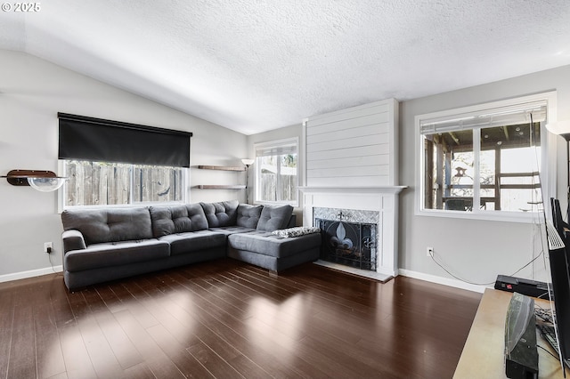 living area featuring a premium fireplace, wood finished floors, and vaulted ceiling