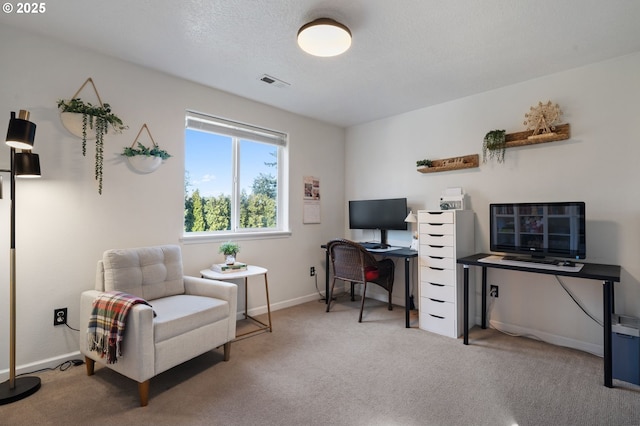 office area featuring carpet and a textured ceiling