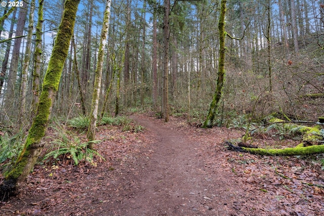 view of landscape