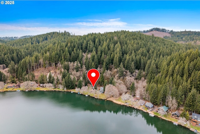 birds eye view of property with a water view and a view of trees